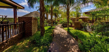 Country Lodge Upington Northern Cape South Africa Palm Tree, Plant, Nature, Wood, Garden