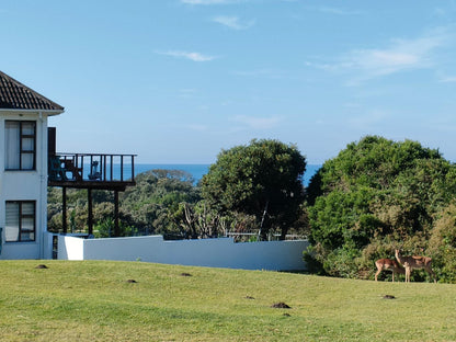 Cove View Bandb East London Eastern Cape South Africa Complementary Colors, Beach, Nature, Sand