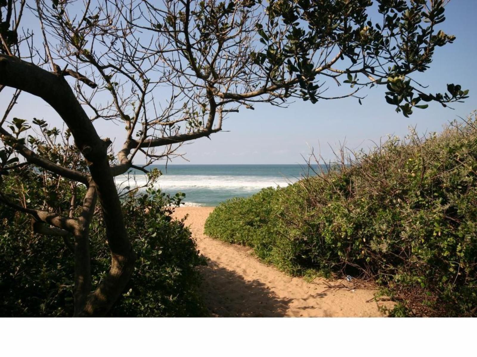 Cowrie Cove Guest House La Lucia Umhlanga Kwazulu Natal South Africa Beach, Nature, Sand