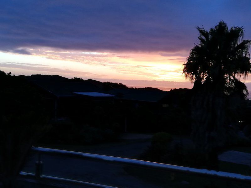 Cowrie Lodge Cove Rock East London Eastern Cape South Africa Palm Tree, Plant, Nature, Wood, Sky, Framing, Sunset