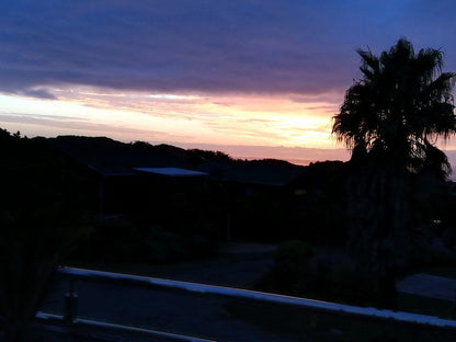 Cowrie Lodge Cove Rock East London Eastern Cape South Africa Palm Tree, Plant, Nature, Wood, Sky, Framing, Sunset