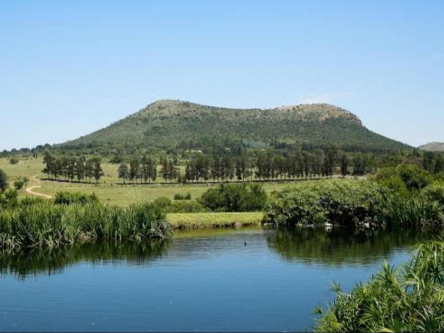 Cradle Valley Muldersdrift Gauteng South Africa Complementary Colors, Mountain, Nature, River, Waters, Tree, Plant, Wood