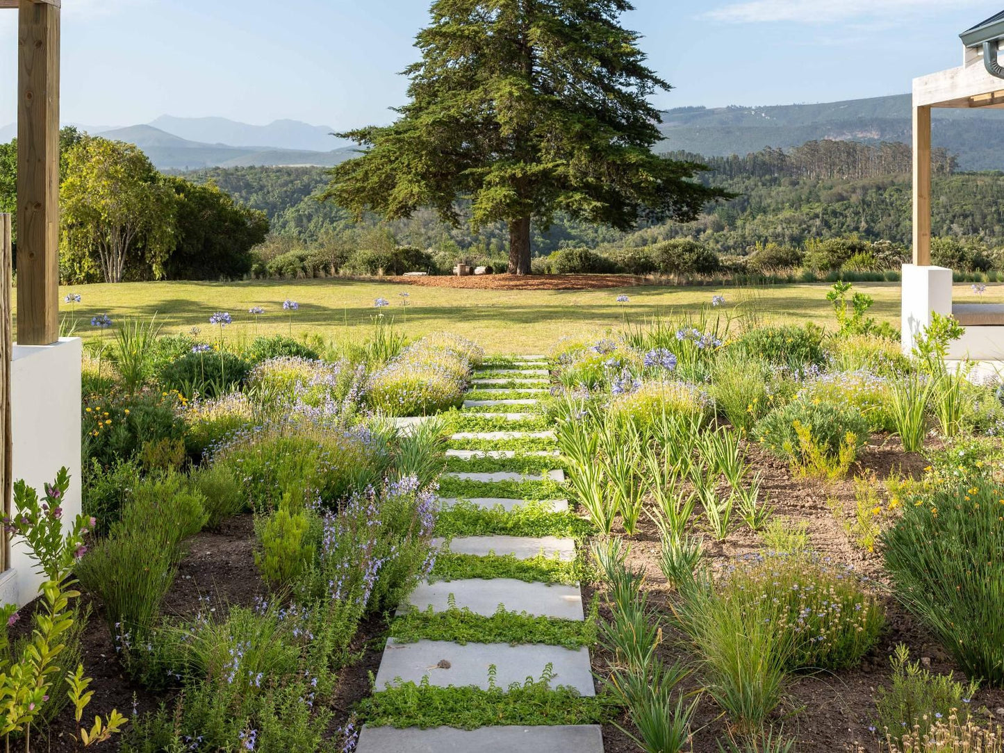 Crags Country Lodge, Plant, Nature, Garden