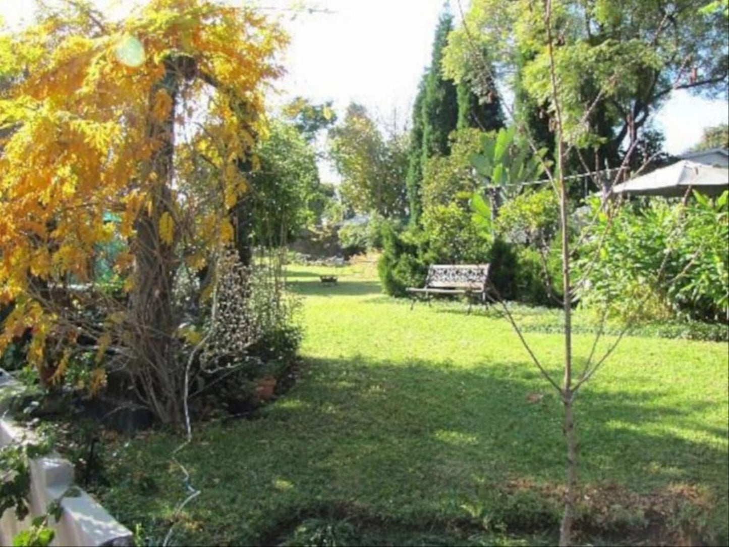 Craighall Garden Studios & Lofts, Plant, Nature, Tree, Wood, Garden