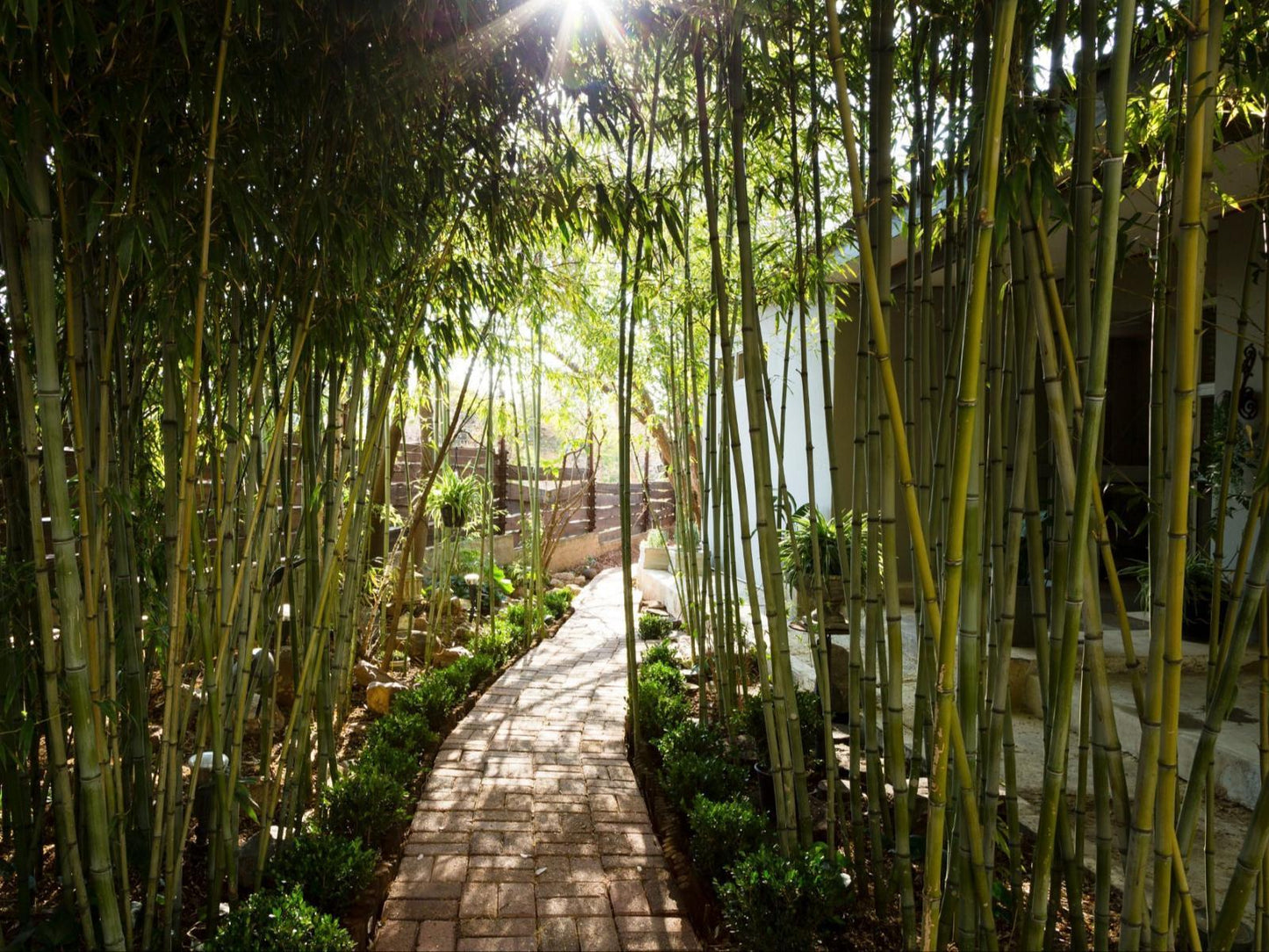 Bamboo Garden Suite @ Craighall Garden
