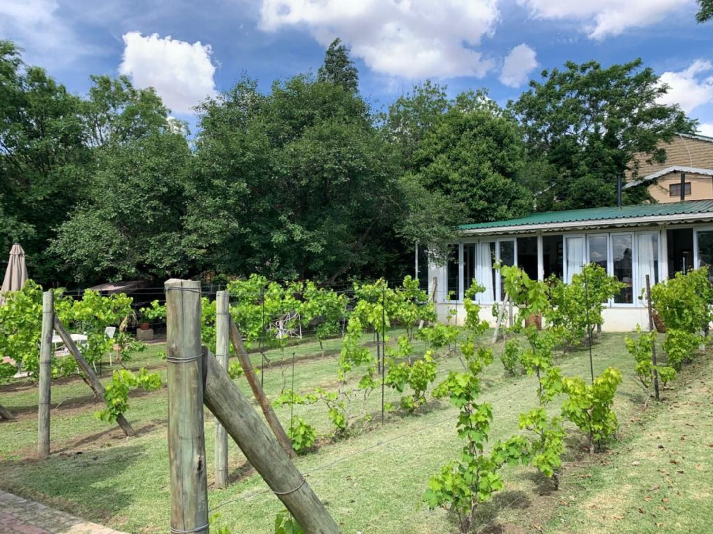 Cranberry Cottage Ladybrand Free State South Africa 