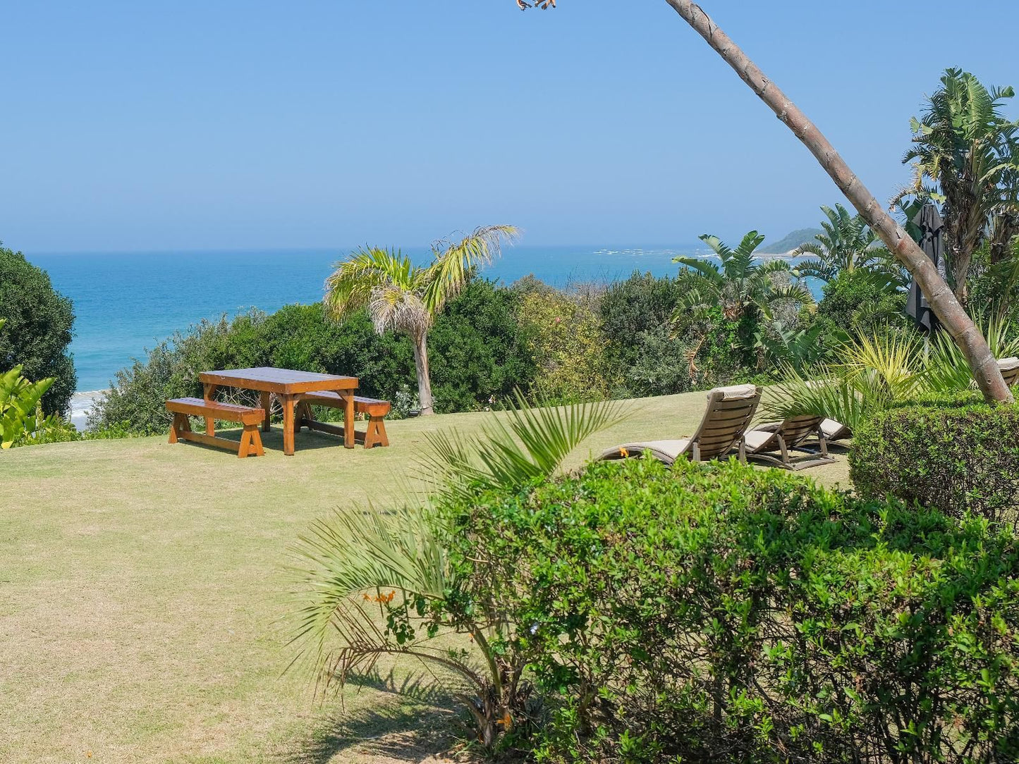 Crawfords Beach Lodge Chintsa Eastern Cape South Africa Complementary Colors, Beach, Nature, Sand, Palm Tree, Plant, Wood