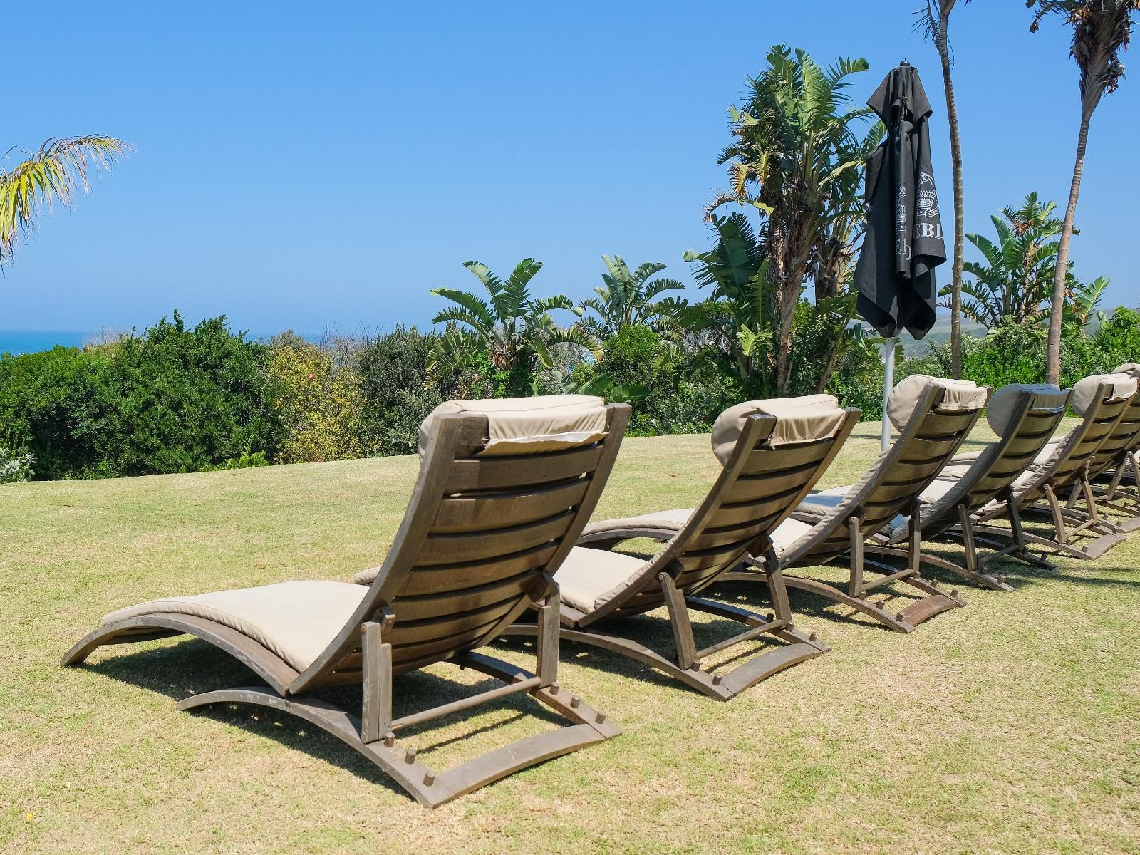 Crawfords Beach Lodge Chintsa Eastern Cape South Africa Complementary Colors, Beach, Nature, Sand, Palm Tree, Plant, Wood