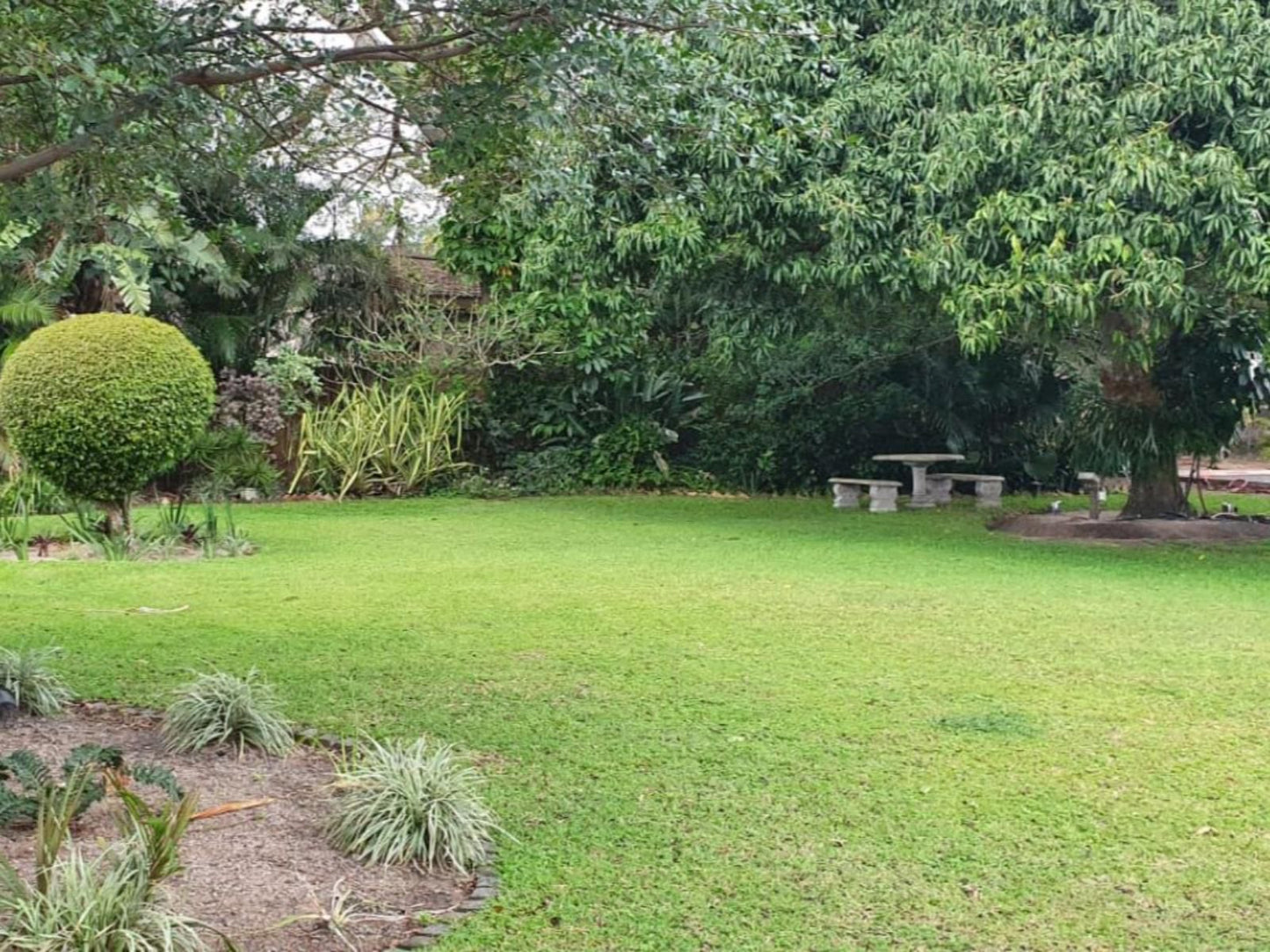 Crayfish Creek Guest House, Palm Tree, Plant, Nature, Wood, Garden