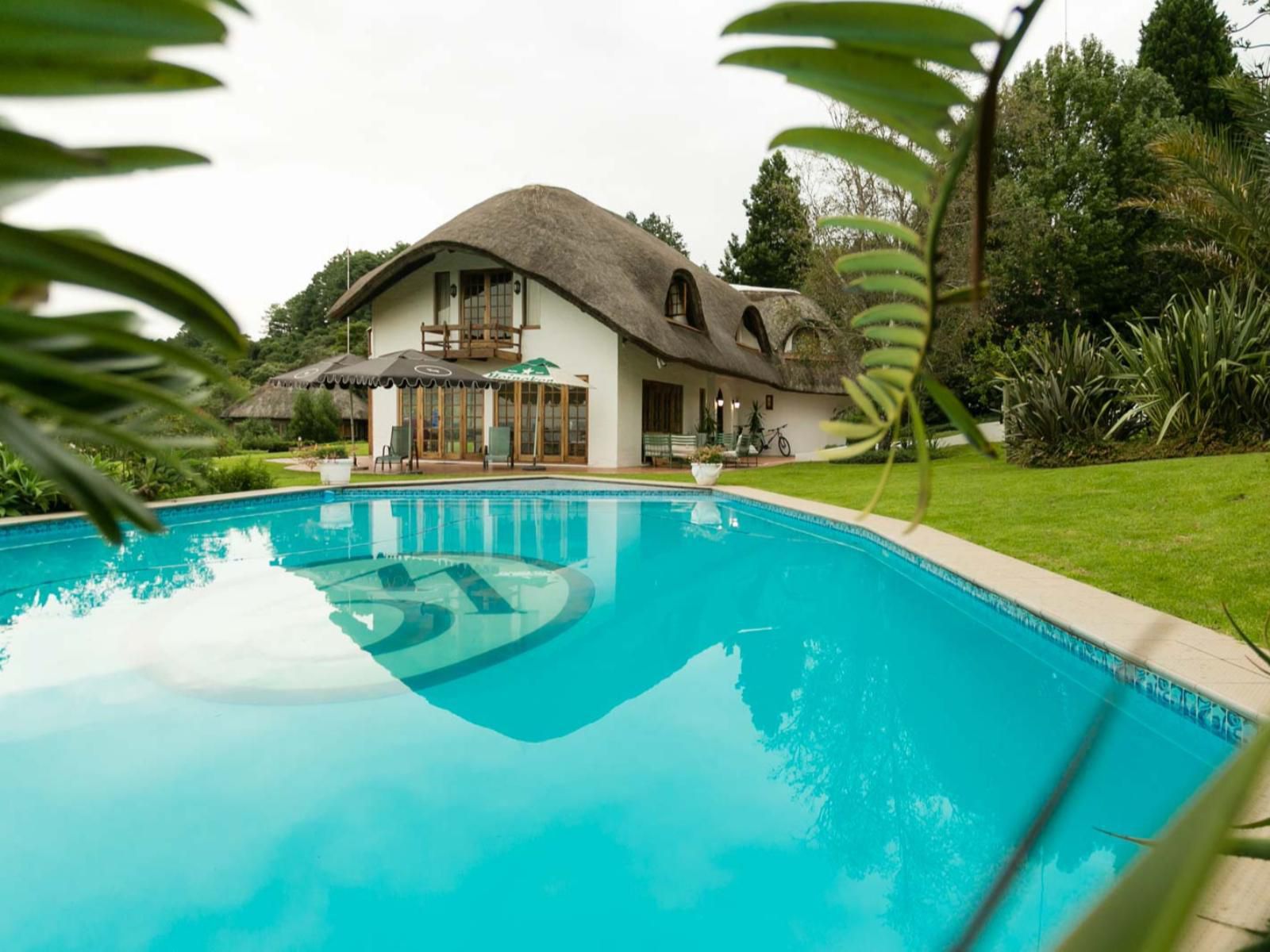 Crestwood Currys Post Kwazulu Natal South Africa Complementary Colors, House, Building, Architecture, Palm Tree, Plant, Nature, Wood, Swimming Pool