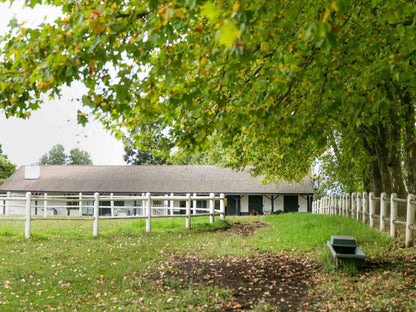 Crestwood Currys Post Kwazulu Natal South Africa House, Building, Architecture, Tree, Plant, Nature, Wood