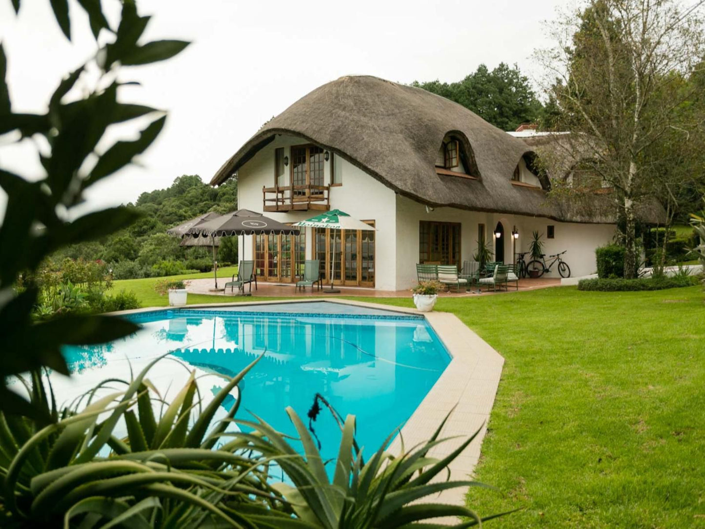 Crestwood Currys Post Kwazulu Natal South Africa House, Building, Architecture, Garden, Nature, Plant, Swimming Pool