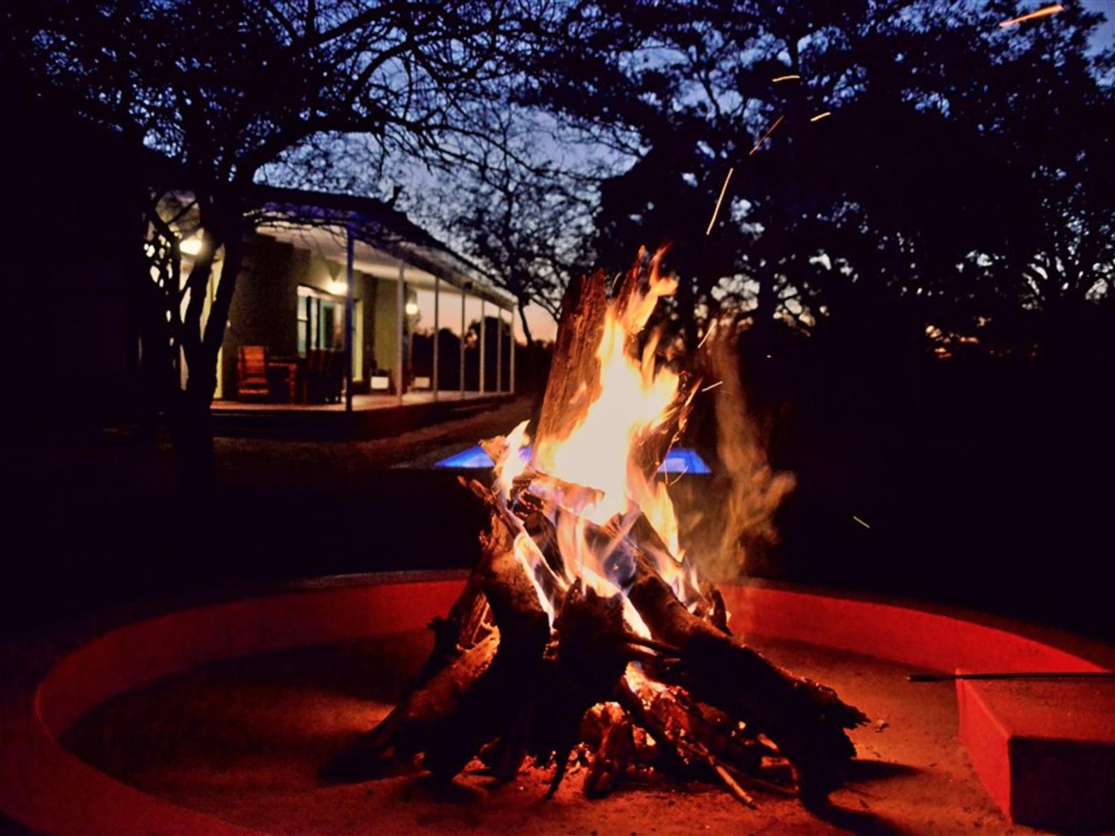 Crimson Bush Lodge Dinokeng Game Reserve Gauteng South Africa Colorful, Fire, Nature