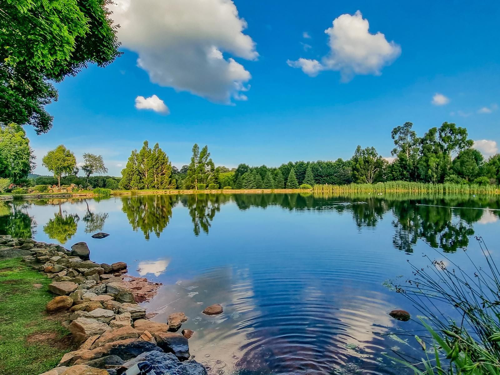 Critchley Hackle Lodge, River, Nature, Waters