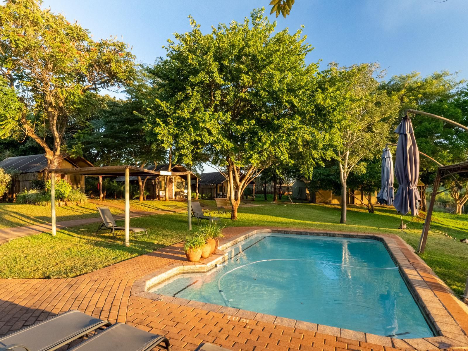 Crocodile Bridge Safari Lodge Komatipoort Mpumalanga South Africa Complementary Colors, Swimming Pool