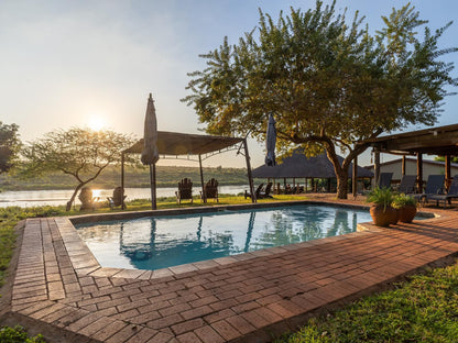 Crocodile Bridge Safari Lodge Komatipoort Mpumalanga South Africa Swimming Pool