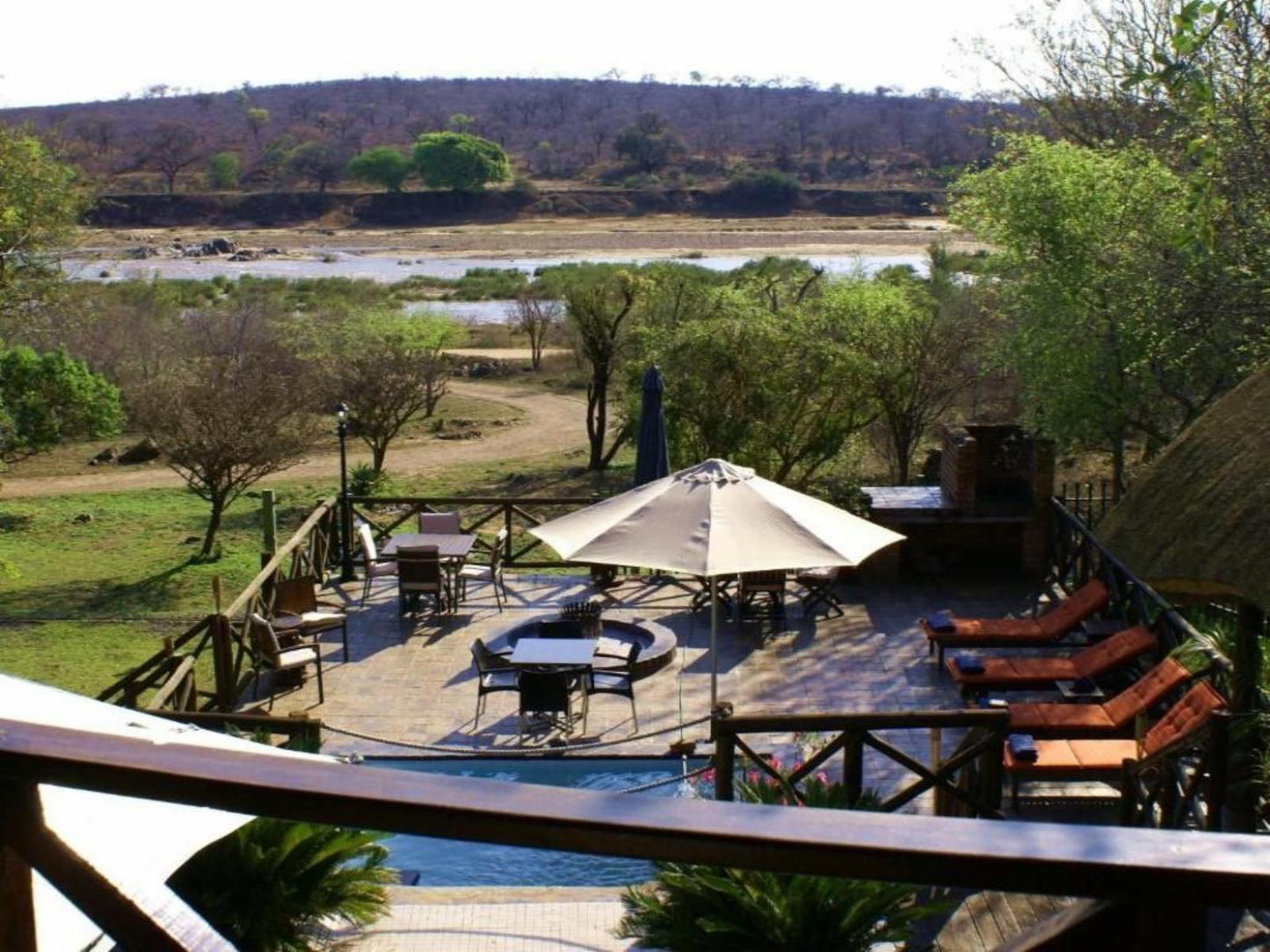Crocodile Kruger Safari Lodge Marloth Park Mpumalanga South Africa River, Nature, Waters, Swimming Pool