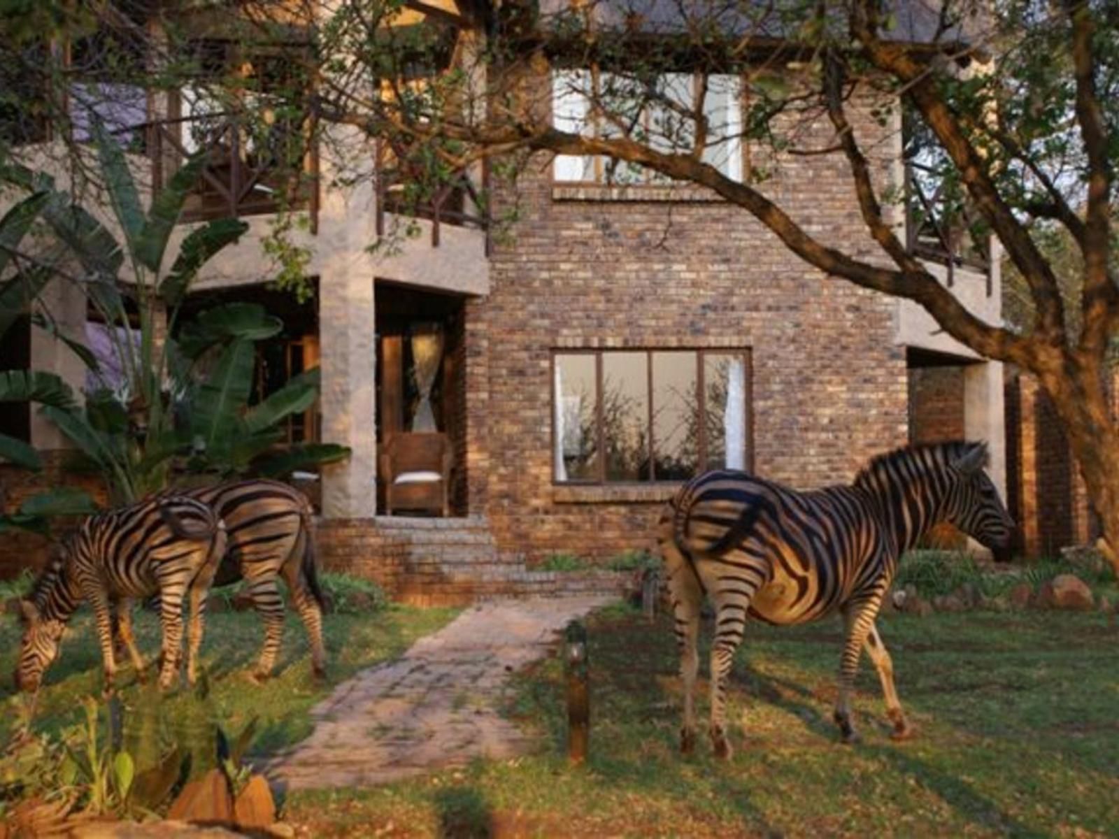 Crocodile Kruger Safari Lodge Marloth Park Mpumalanga South Africa Zebra, Mammal, Animal, Herbivore