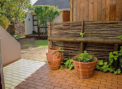 Crowned Crane Gonubie East London Eastern Cape South Africa Basket, Garden, Nature, Plant