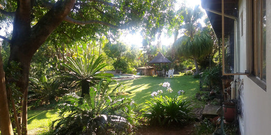 Crowned Eagle Lodge Nelspruit Mpumalanga South Africa Palm Tree, Plant, Nature, Wood, Garden