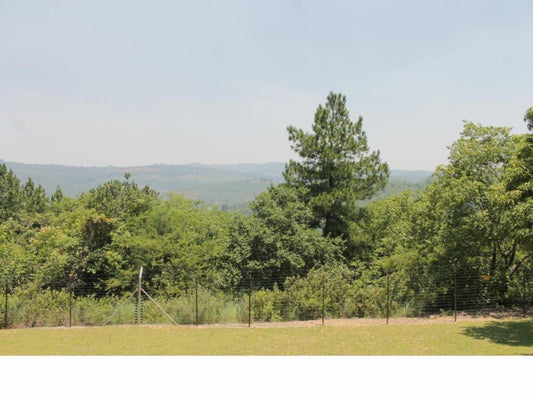 Cuckoo Ridge Country Retreat Hazyview Mpumalanga South Africa Forest, Nature, Plant, Tree, Wood