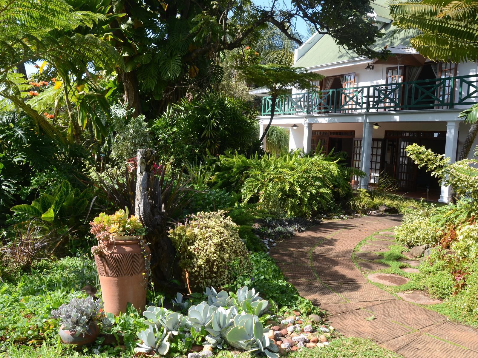 Cuckoo S Nest Guest House Makhado Louis Trichardt Limpopo Province South Africa House, Building, Architecture, Palm Tree, Plant, Nature, Wood, Garden