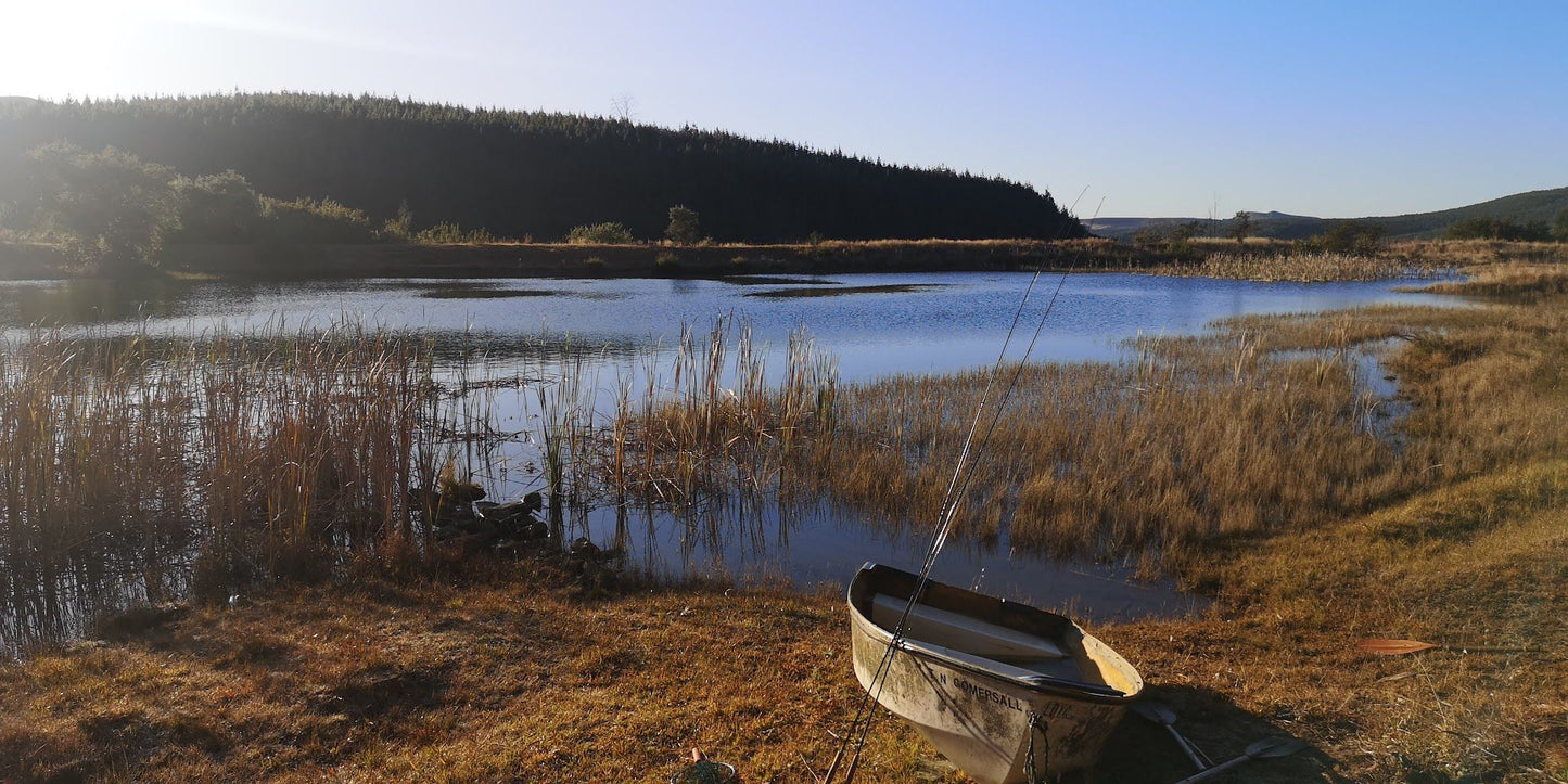 Cullinan Falls Trout Farm Machadodorp Mpumalanga South Africa Boat, Vehicle, Canoe, Lake, Nature, Waters