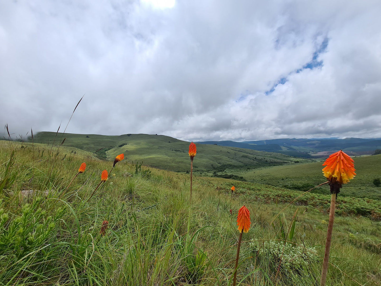 Cullinan Falls Trout Farm Machadodorp Mpumalanga South Africa Complementary Colors, Field, Nature, Agriculture, Meadow, Highland