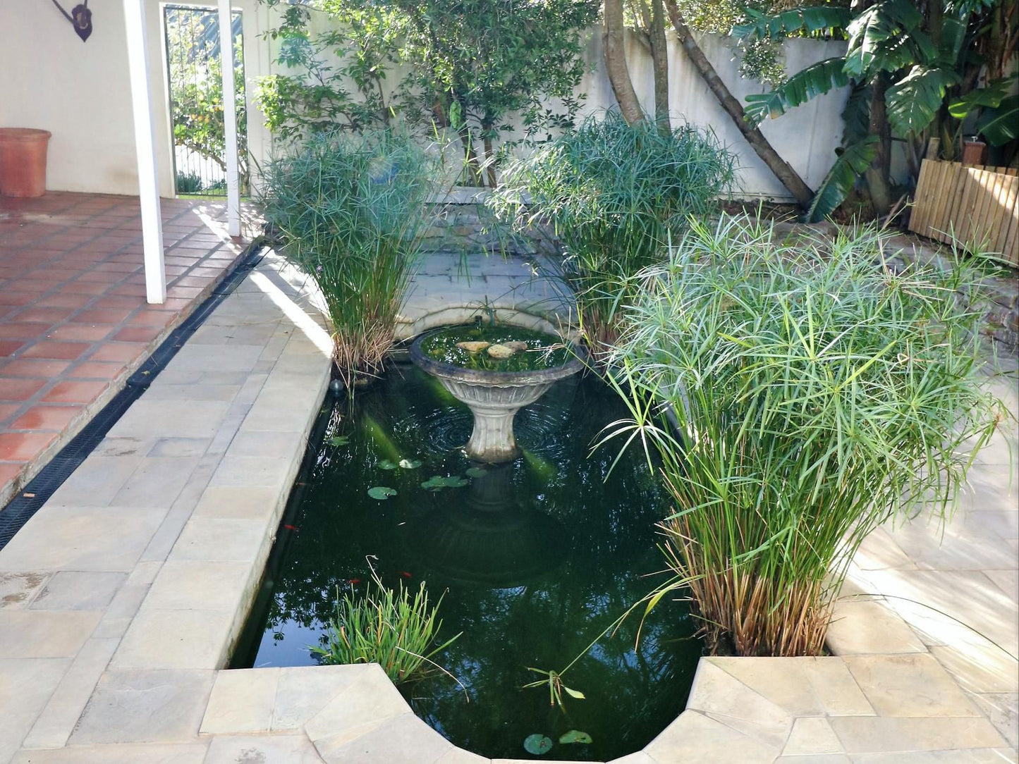 Cumberland House Port Alfred Eastern Cape South Africa Garden, Nature, Plant, Swimming Pool