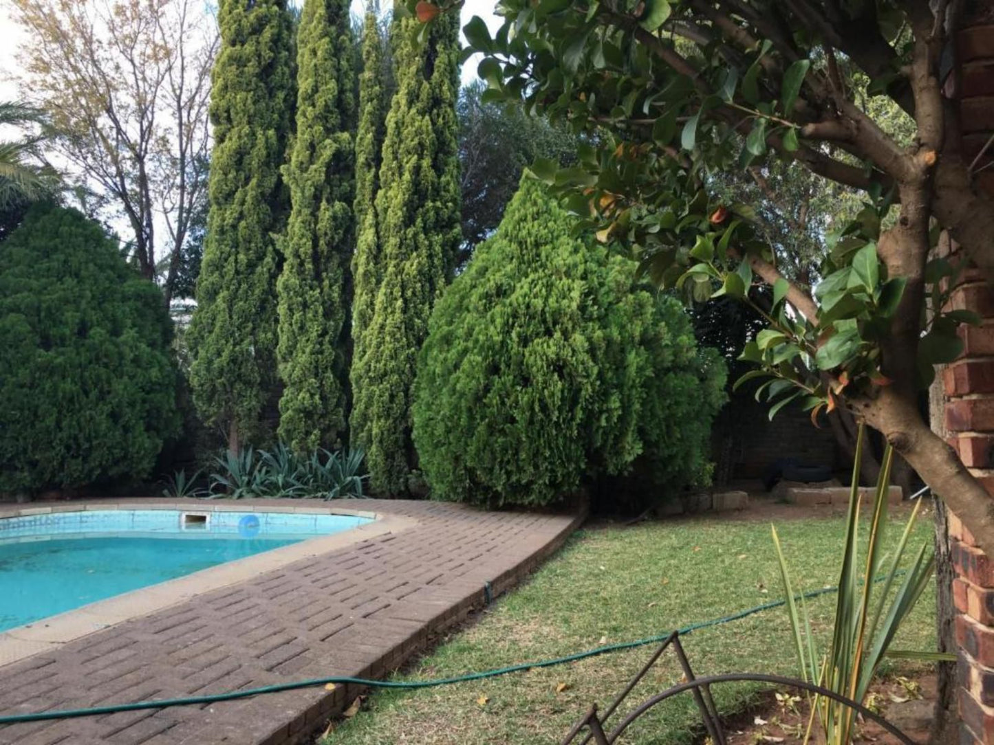 Cura Lodge Pellissier Bloemfontein Free State South Africa Garden, Nature, Plant, Swimming Pool