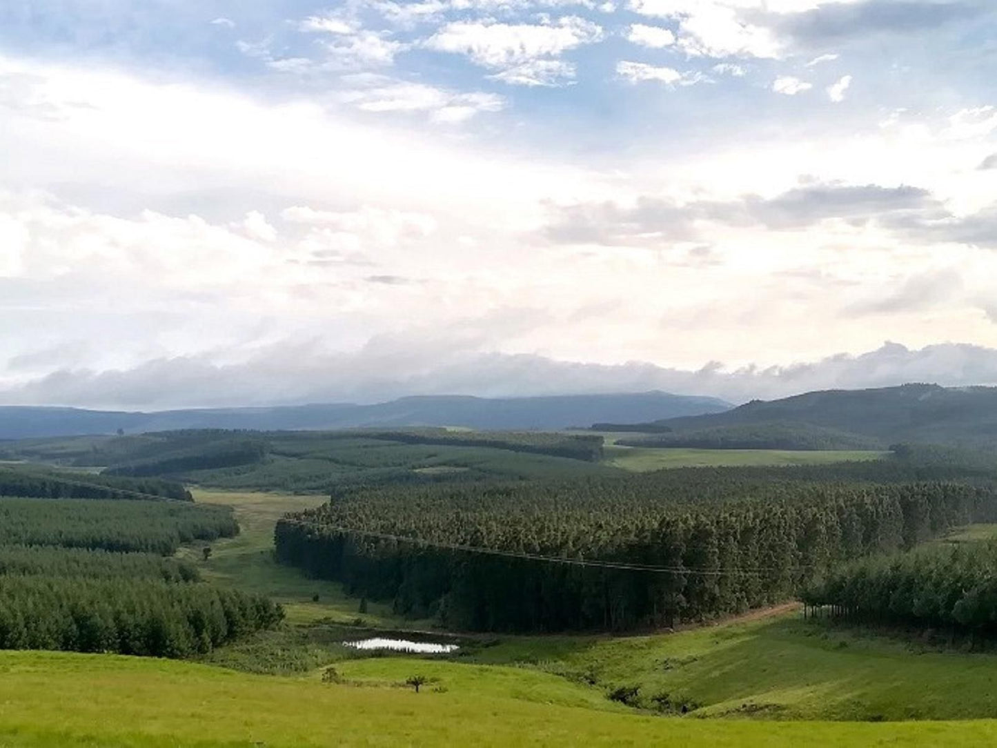 Curry S Post Bed And Breakfast Currys Post Kwazulu Natal South Africa Mountain, Nature, Tree, Plant, Wood, Highland