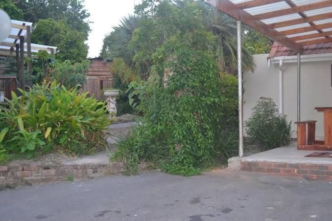 Cycad Lodge Selborne East London Eastern Cape South Africa House, Building, Architecture, Palm Tree, Plant, Nature, Wood, Garden