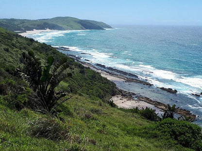 Cycad Stay Fort Gale Mthatha Eastern Cape South Africa Complementary Colors, Beach, Nature, Sand, Cliff, Ocean, Waters