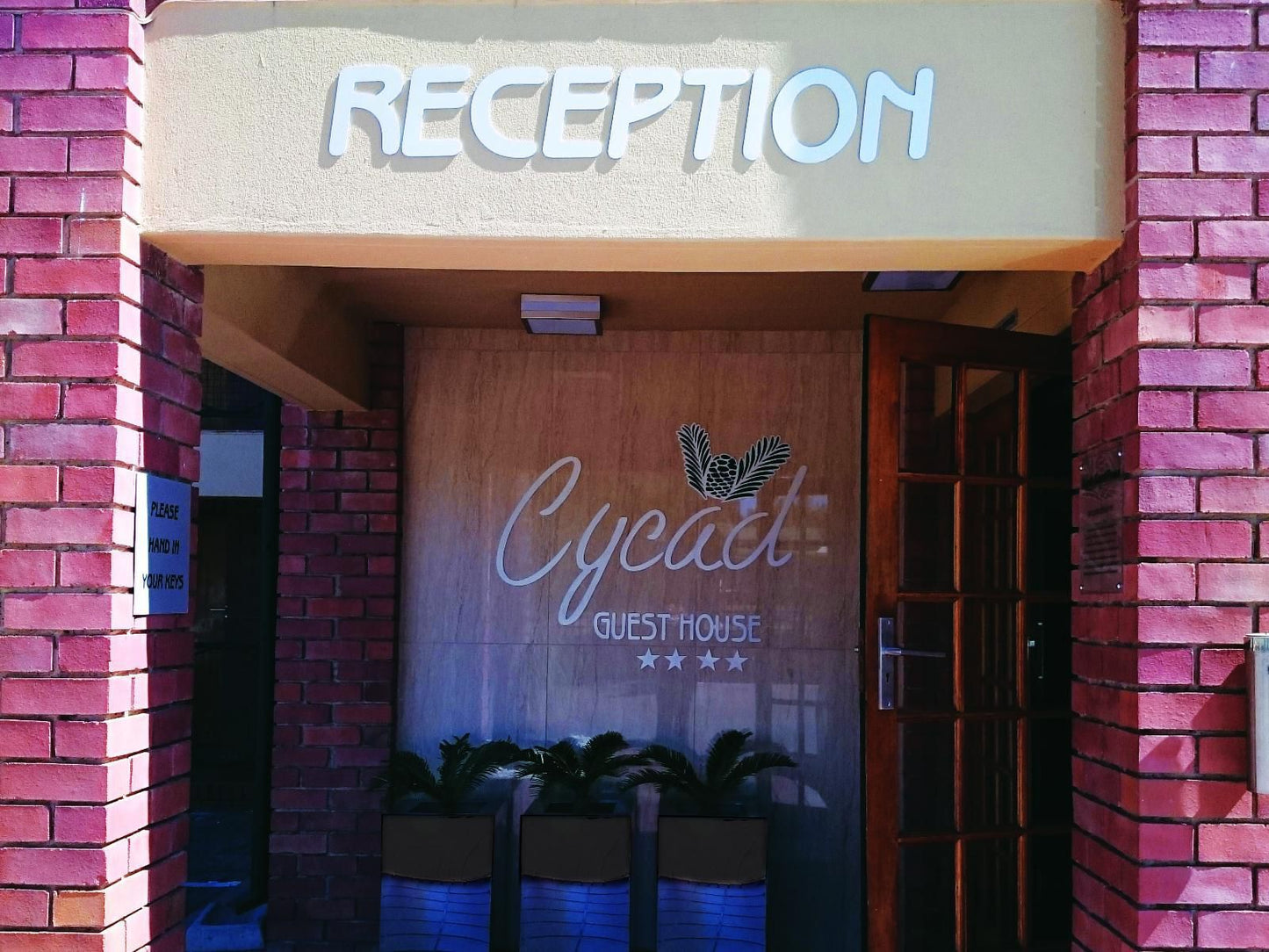 Cycad Guest House Polokwane Pietersburg Limpopo Province South Africa Bar