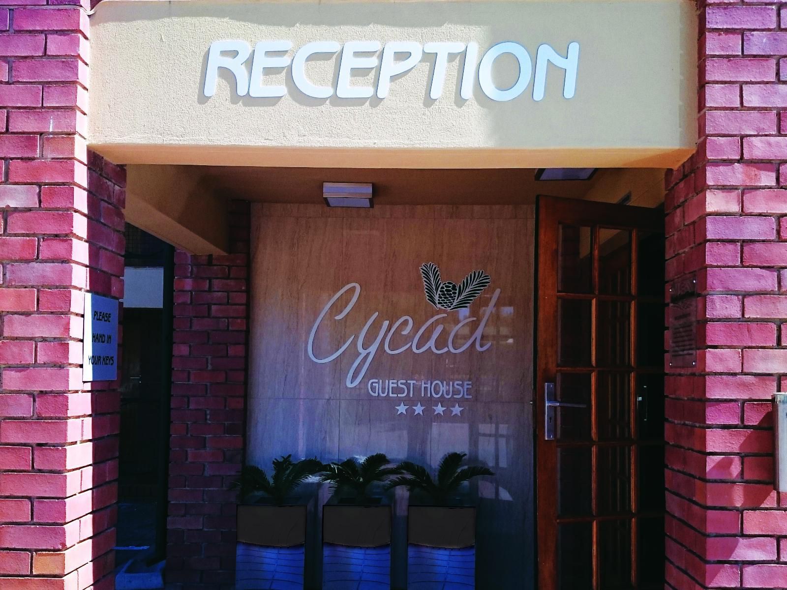 Cycad Guest House Polokwane Pietersburg Limpopo Province South Africa Bar