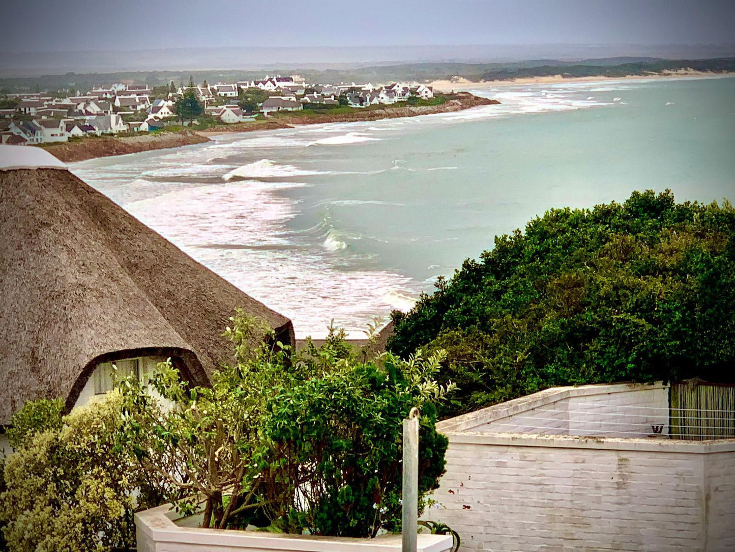 Cycads On Sea Guest House St Francis Bay Eastern Cape South Africa Beach, Nature, Sand, Framing