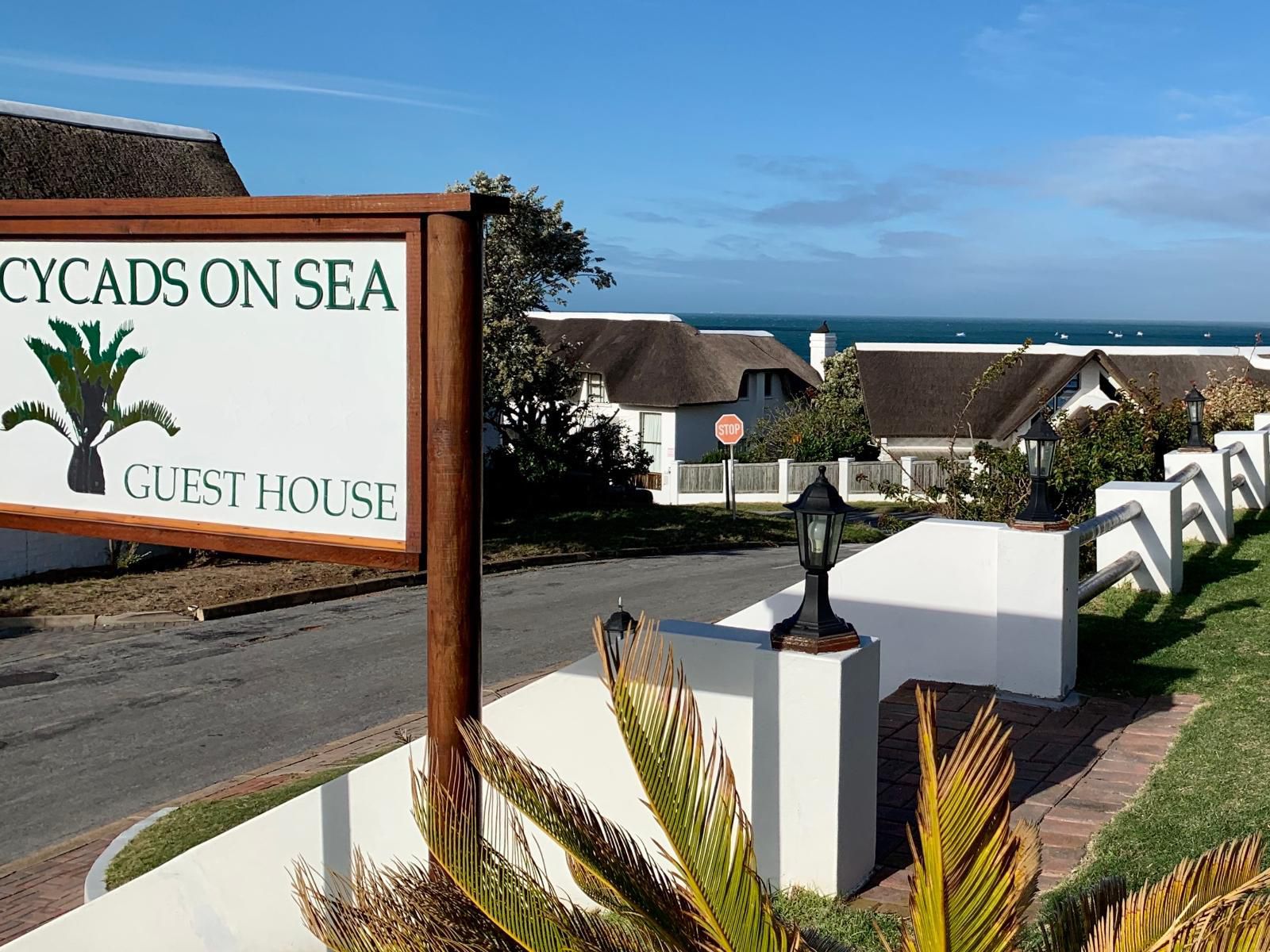 Cycads On Sea Guest House St Francis Bay Eastern Cape South Africa Complementary Colors, Beach, Nature, Sand, House, Building, Architecture, Palm Tree, Plant, Wood