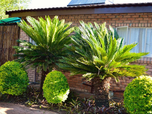 Cycas Guest House Malelane Mpumalanga South Africa House, Building, Architecture, Palm Tree, Plant, Nature, Wood, Garden