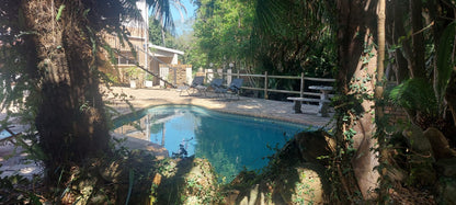 Cycasia Lodge Pumula Kwazulu Natal South Africa Palm Tree, Plant, Nature, Wood, Garden, Swimming Pool