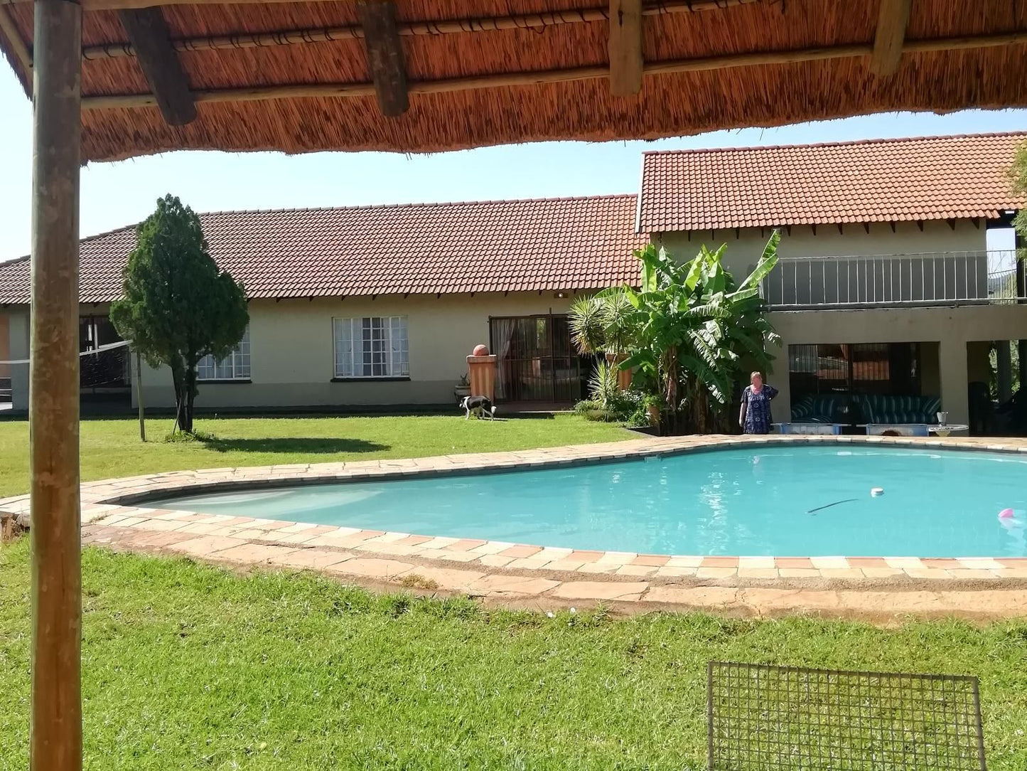 Cynthia S Country Stay Broederstroom Hartbeespoort North West Province South Africa Palm Tree, Plant, Nature, Wood, Swimming Pool