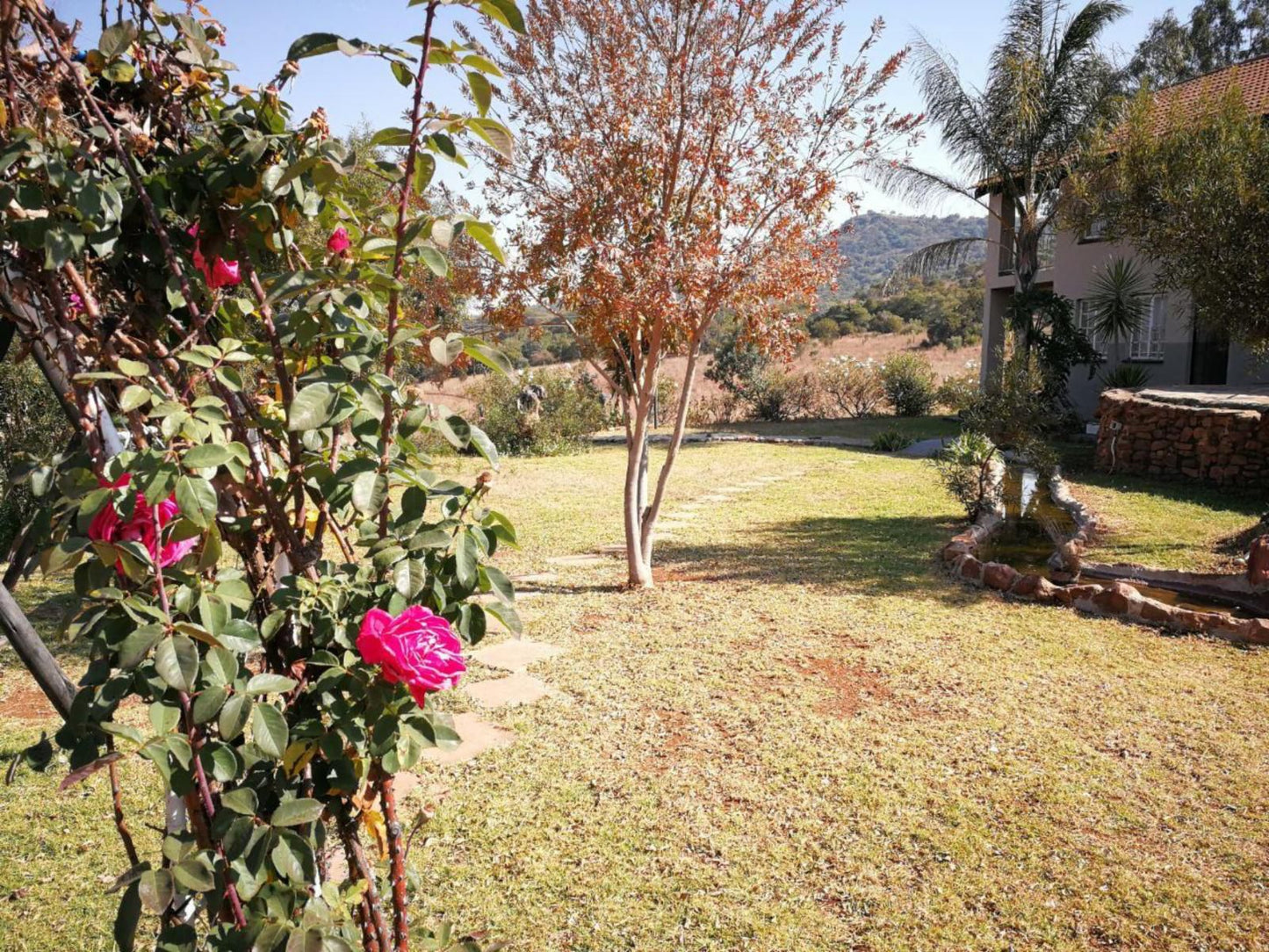 Cynthia S Country Stay Broederstroom Hartbeespoort North West Province South Africa Plant, Nature, Garden