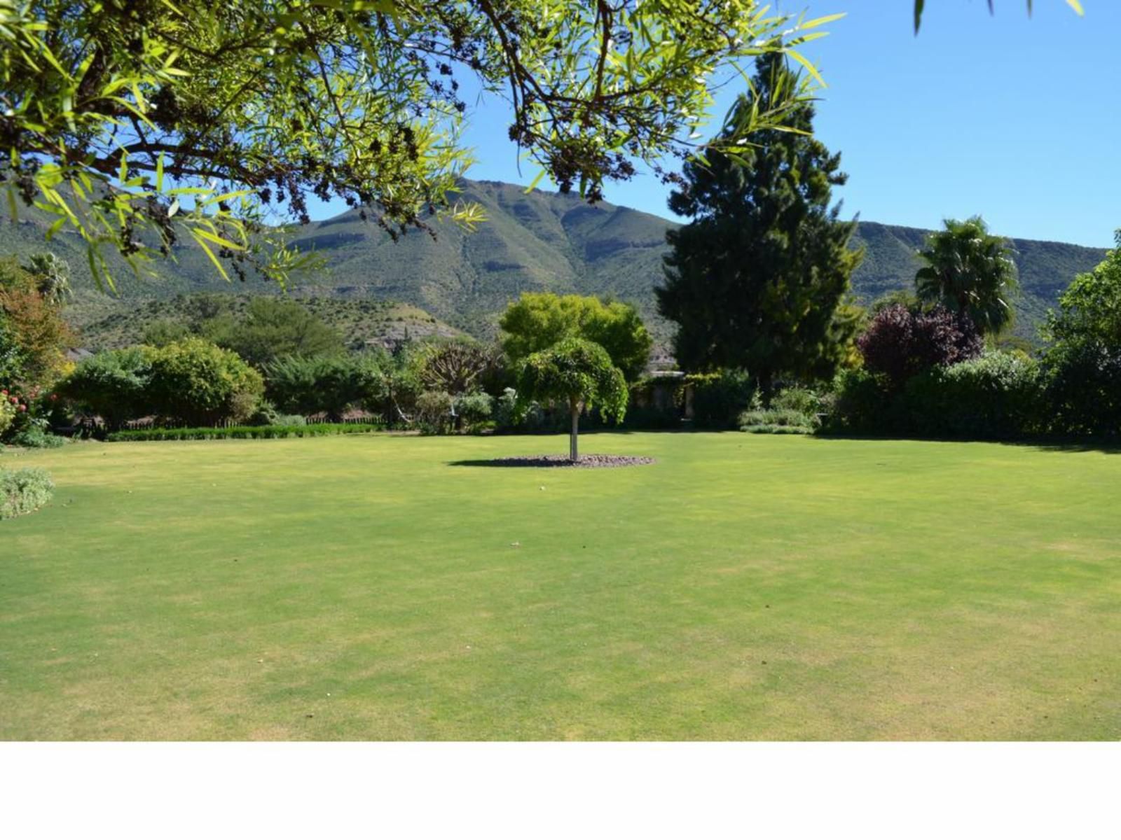 Cypress Cottage Graaff Reinet Eastern Cape South Africa Ball Game, Sport, Garden, Nature, Plant