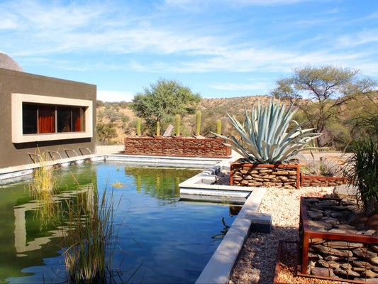 Daan Viljoen Lodge, Cactus, Plant, Nature, Swimming Pool