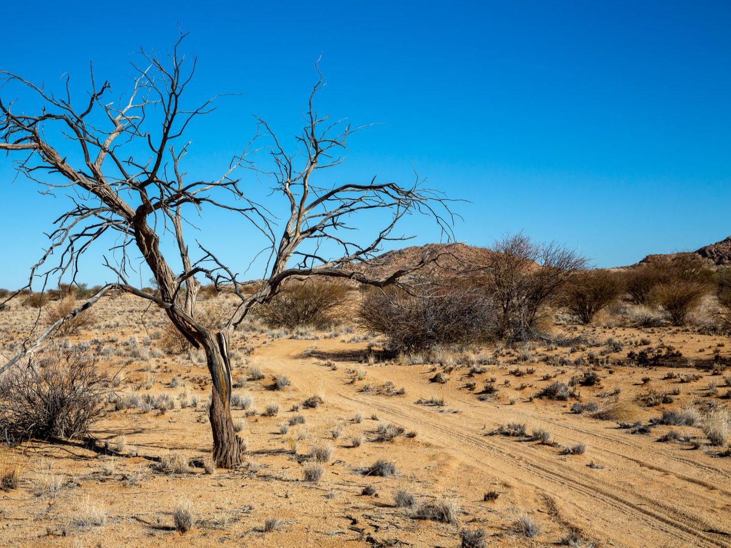 Daberas Guest Farm Augrabies Northern Cape South Africa Complementary Colors, Colorful, Desert, Nature, Sand