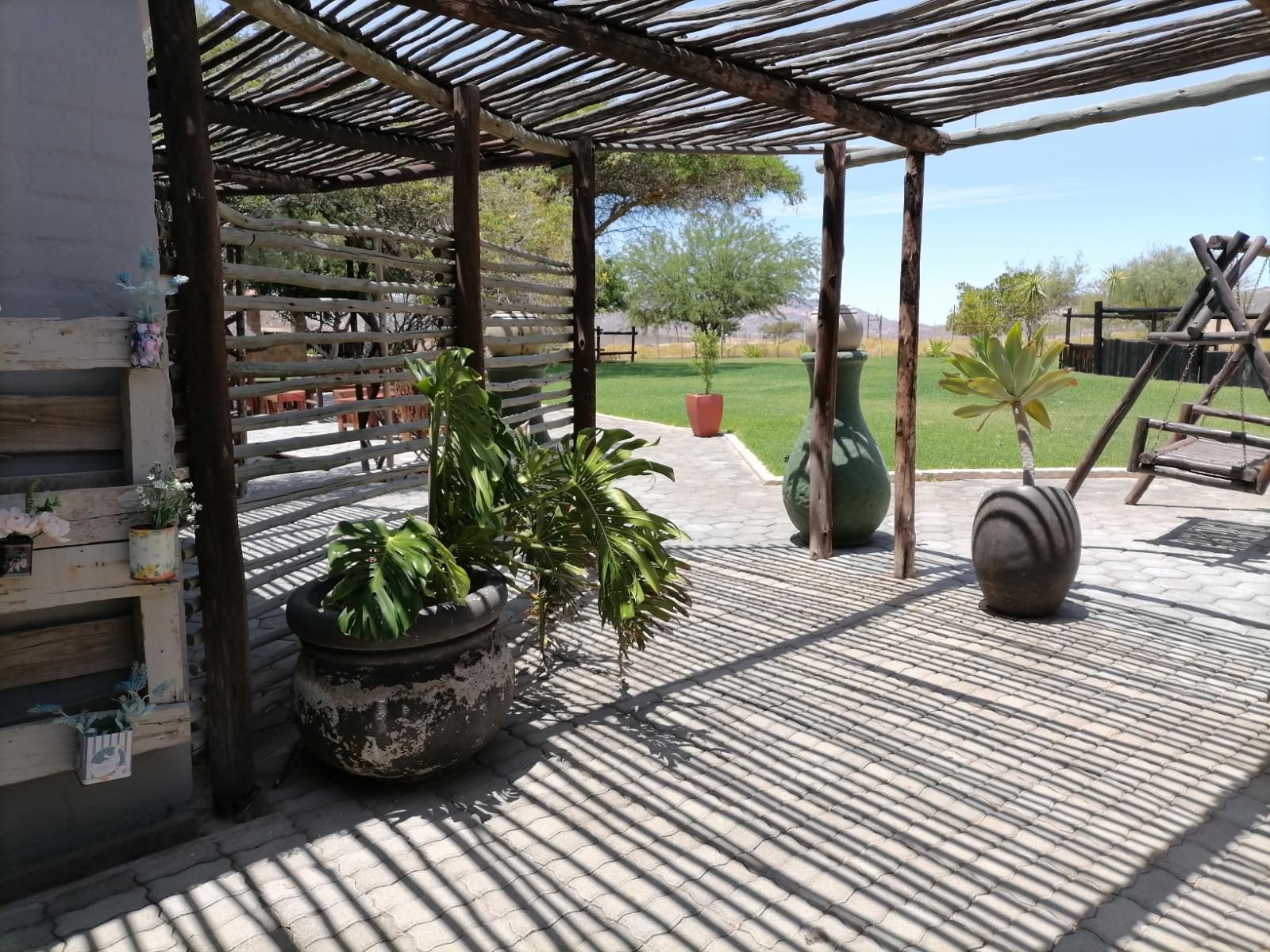 Daisy Country Lodge Springbok Northern Cape South Africa Plant, Nature