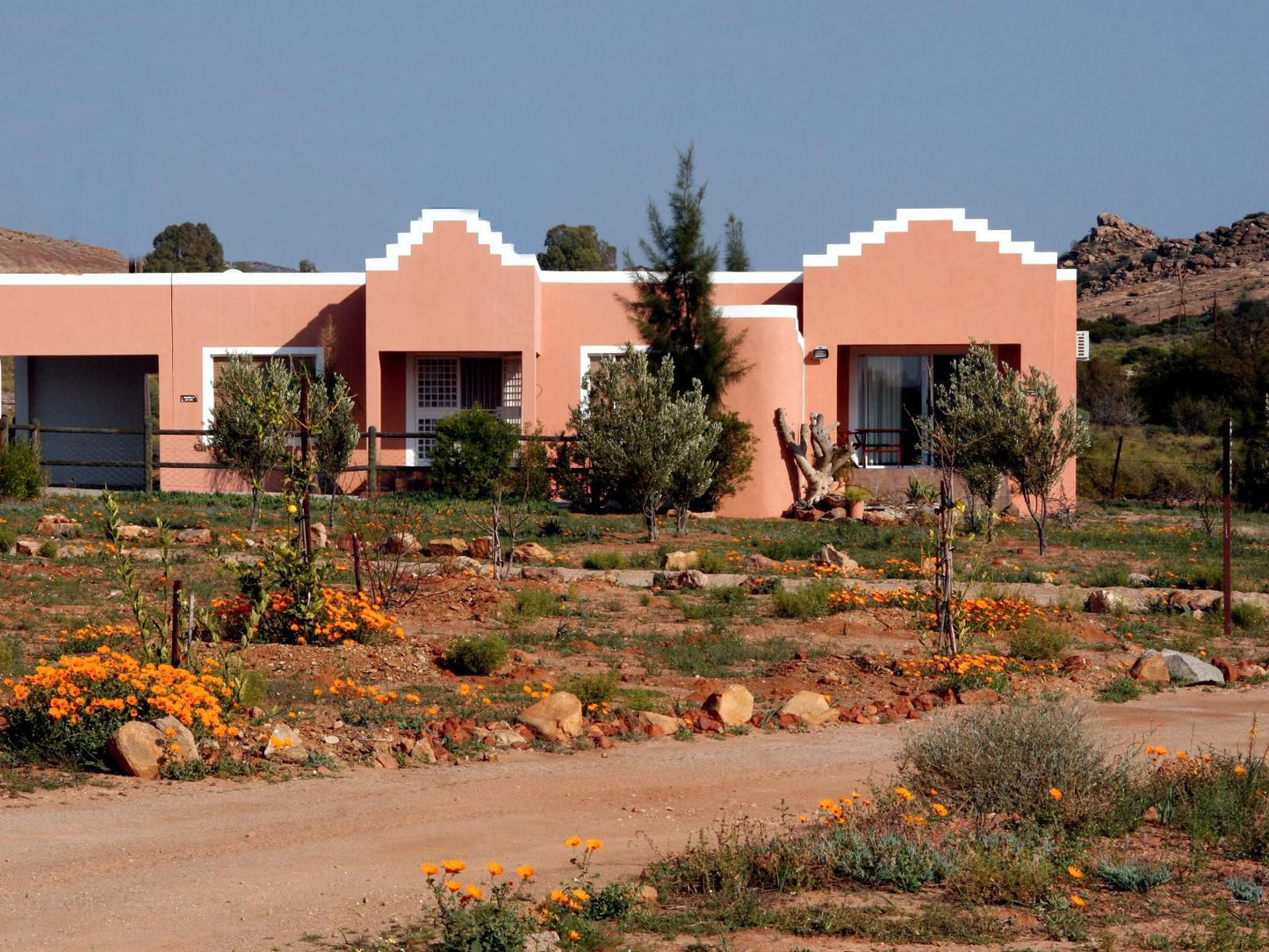 Daisy Country Lodge Springbok Northern Cape South Africa Building, Architecture, Cactus, Plant, Nature, House, Desert, Sand