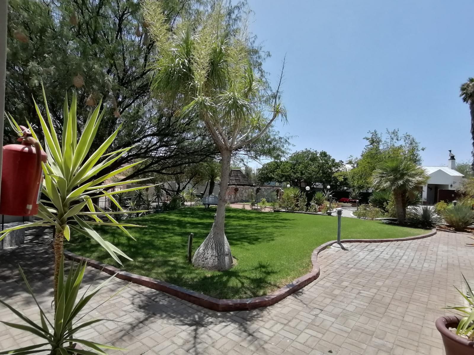 Daisy Country Lodge Springbok Northern Cape South Africa Complementary Colors, Palm Tree, Plant, Nature, Wood, Garden