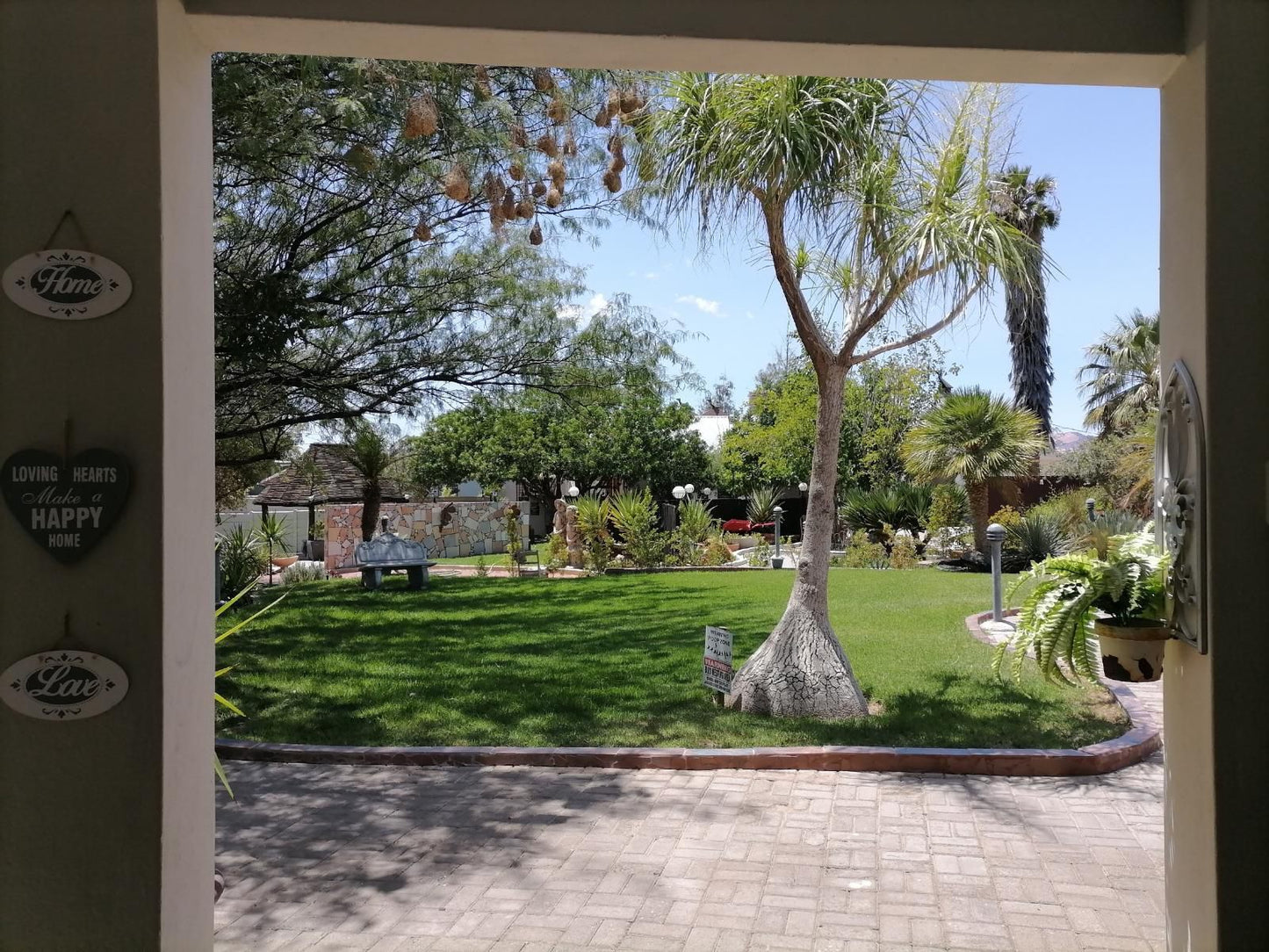 Daisy Country Lodge Springbok Northern Cape South Africa House, Building, Architecture, Palm Tree, Plant, Nature, Wood, Framing, Garden