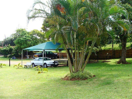 Daisy House Doonside Kingsburgh Kwazulu Natal South Africa Palm Tree, Plant, Nature, Wood, Car, Vehicle