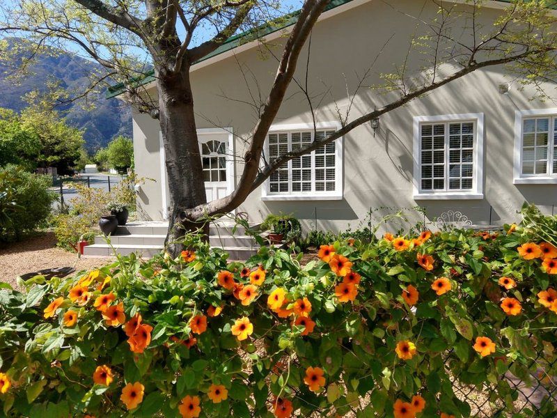 Daisy Place Franschhoek Western Cape South Africa Flower, Plant, Nature, House, Building, Architecture, Garden